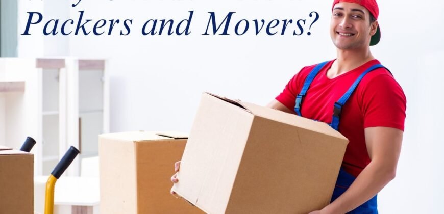 Why Choose Decent Packers and Movers